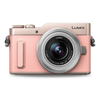 Panasonic Lumix GF10K with 12-32mm Lens Digital Camera