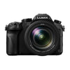 Panasonic Lumix DMC-FZ2500 Digital Camera